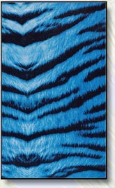 Blue Tiger swim trunks